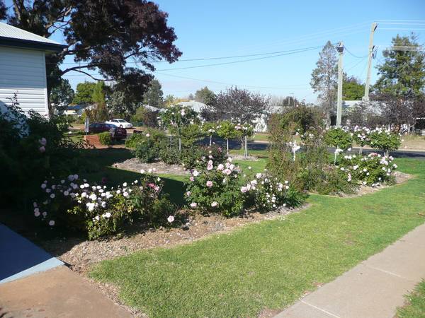 What A Start Picture