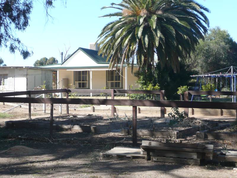 Darlington Point Gem Picture 1