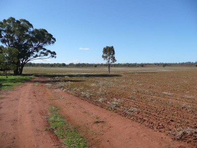 Hidden Rural Retreat Picture