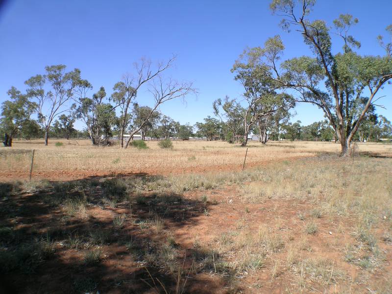 Perfect Opportunity Picture 2