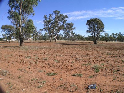 Perfect Opportunity Picture Perfect Opportunity Picture