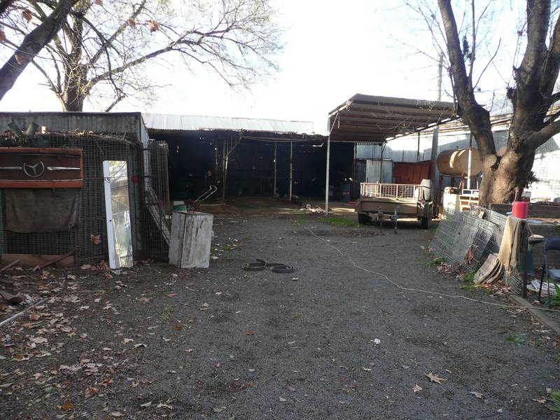 Canal Street Picture 2