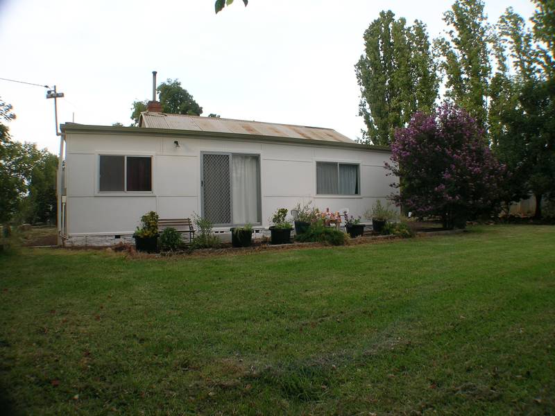 Beelbangera Picture 3