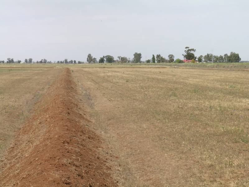 Farming Opportunity Picture 2