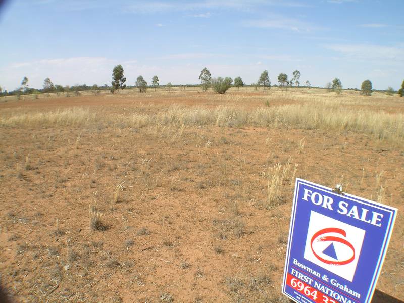 Cheap Cheap Cheap Picture 1