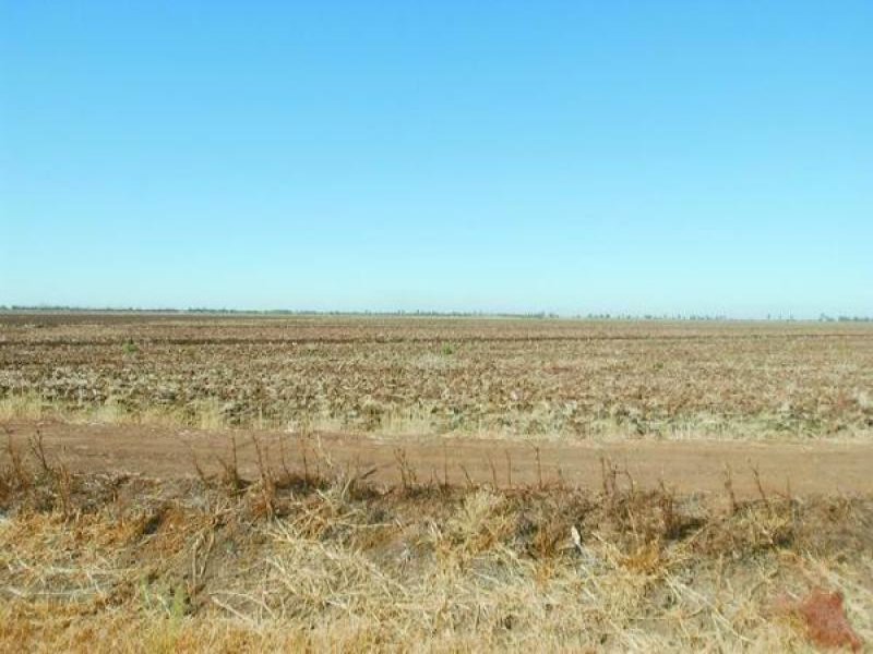 Farm 44 Casserley Road Warrawidgee Picture 3