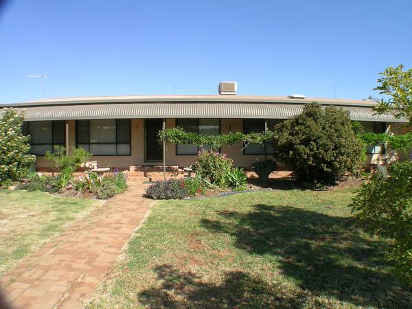 Something for everybody Picture 1