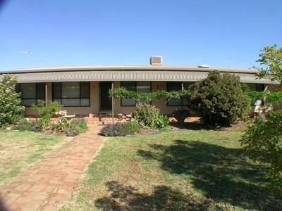 Something for everybody Picture Something for everybody Picture