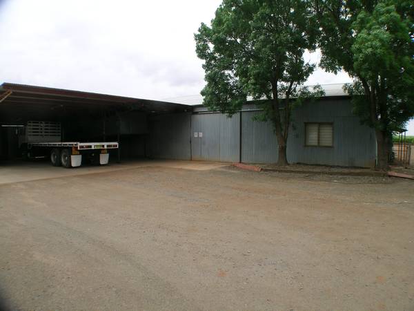 Grapes & Citrus Close To CBD Picture 3