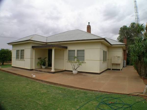 Grapes & Citrus Close To CBD Picture 2