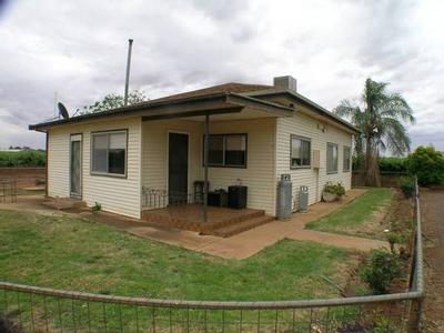 Grapes & Citrus Close To CBD Picture