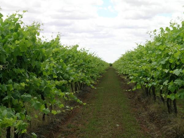 Be Quick!! Picture 2