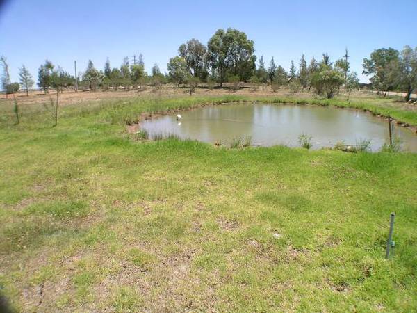 Vacant Land - Benerembah Picture 2