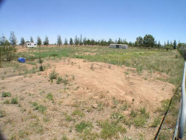 Vacant Land - Benerembah Picture 1