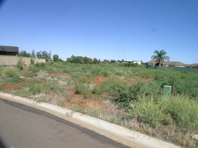 Dont Miss Out Picture 1