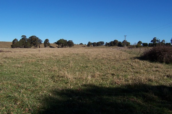 25 ACRES - 2 STOREY HOME - GREAT FOR HORSES Picture 1