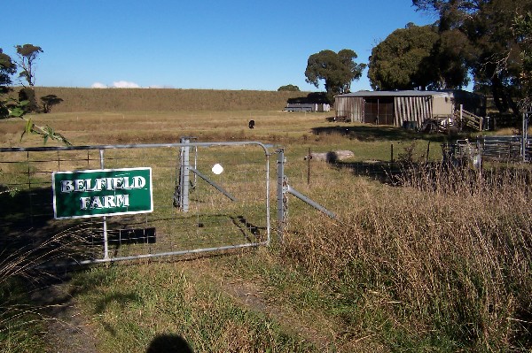 25 ACRES - 2 STOREY HOME - GREAT FOR HORSES Picture 3