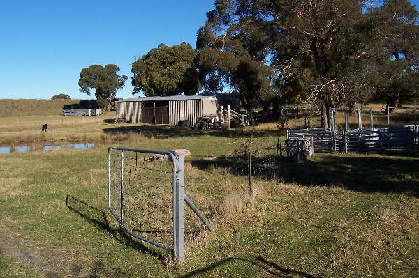 25 ACRES - 2 STOREY HOME - GREAT FOR HORSES Picture 2