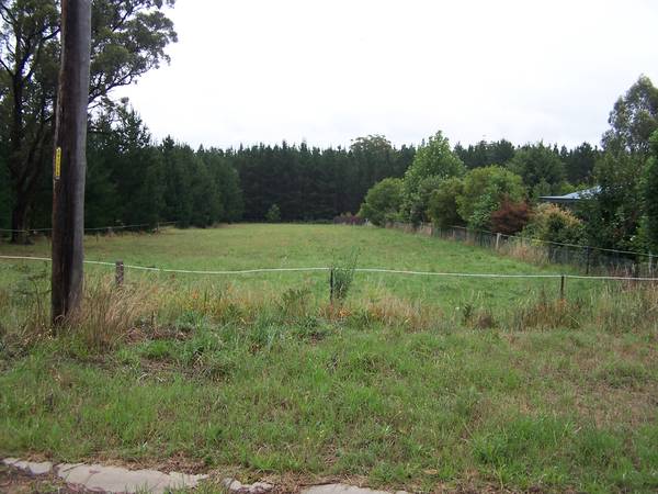 FABULOUS 1 ACRE BLOCK - PRICED WELL BELOW REPLACEMENT VALUE Picture 1