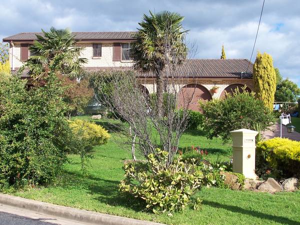 PICTURE POSTCARD PANORAMA Picture 1