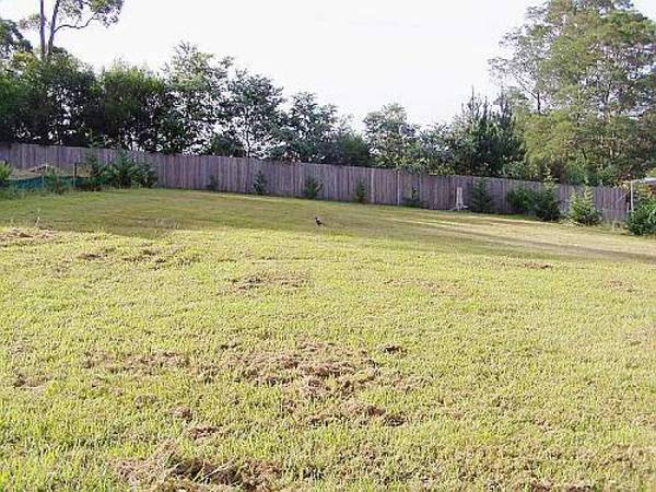 THEY HAVE STOPPED MAKING LAND Picture 1