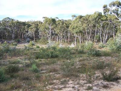 YOUR OWN PEACE OF HEAVEN Picture