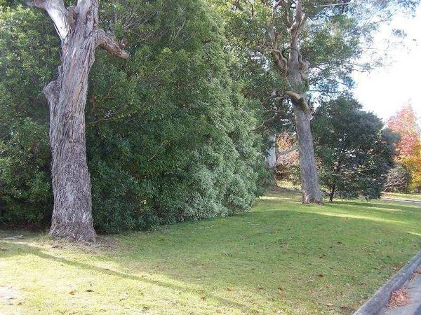 EXISTING USE RIGHTS AS A JOINERY SHOP Picture 2