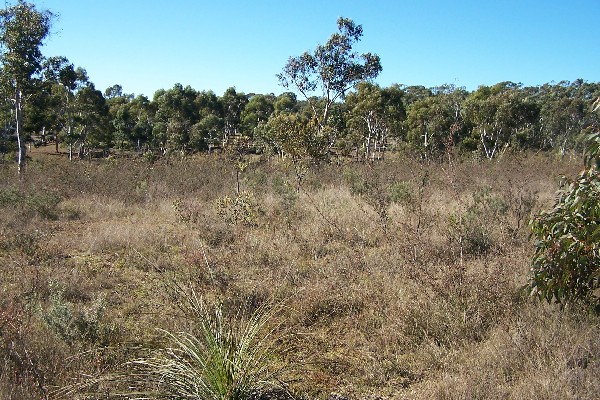 YOUR OWN PEACE OF HEAVEN ON EARTH (3.47 ACRES) Picture 1