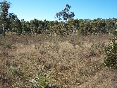 YOUR OWN PEACE OF HEAVEN ON EARTH (3.47 ACRES) Picture