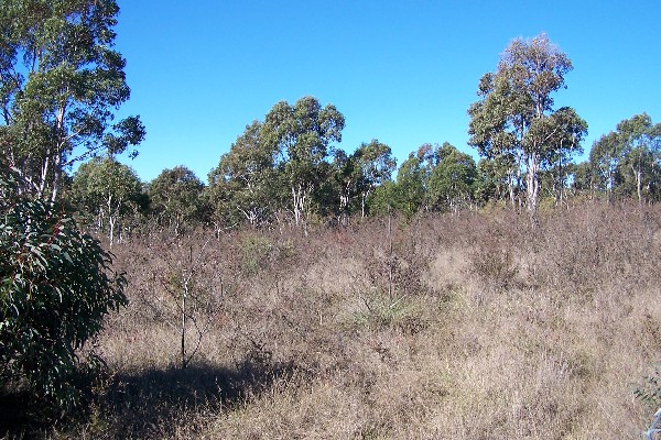 YOUR OWN PEACE OF HEAVEN ON EARTH (3.47 ACRES) Picture 2