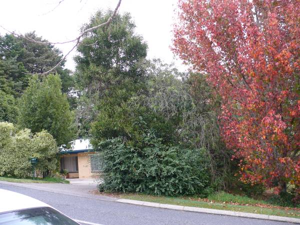 Wonderful Location & Solid Brick Home Picture 2