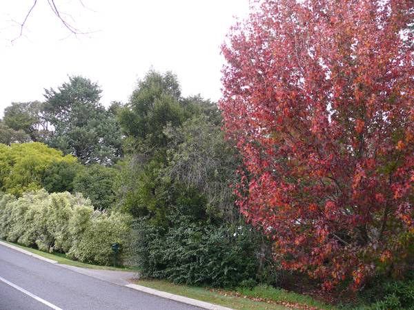 Wonderful Location & Solid Brick Home Picture 3