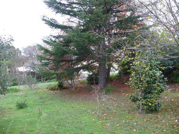 Wonderful Location & Solid Brick Home Picture 1