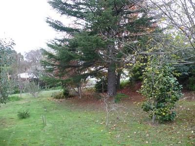 Wonderful Location & Solid Brick Home Picture Wonderful Location & Solid Brick Home Picture