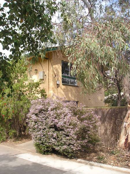 A Breath of Fresh Air Picture A Breath of Fresh Air Picture