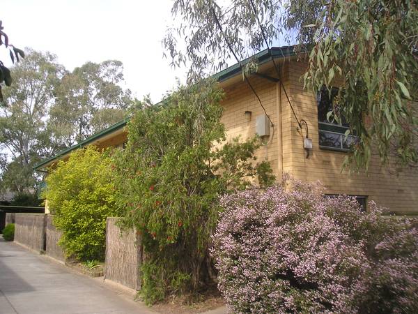 A Breath of Fresh Air Picture A Breath of Fresh Air Picture