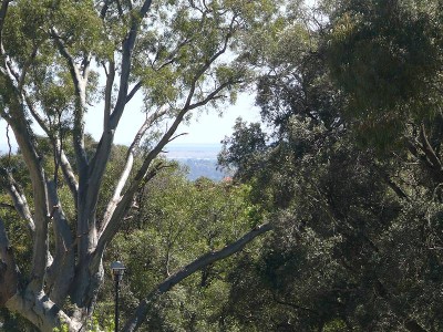 Best Allotment in the Area Picture