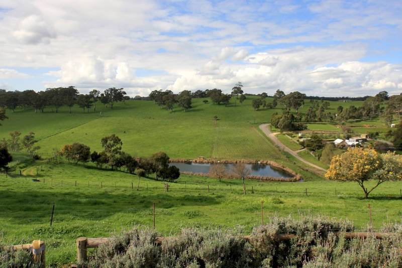 Rare 40 Acres Prime Rural Land Picture 2