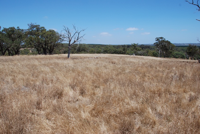 Fabulous Acreage Picture 2