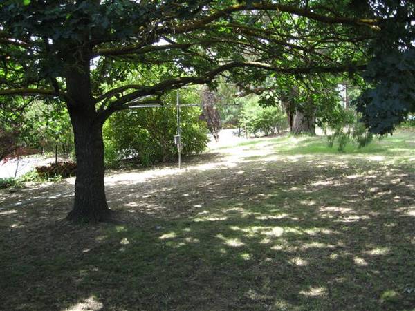 Modern 3 Bedroom Home in Great Location Picture 3