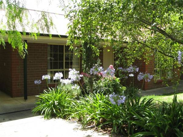 Modern 3 Bedroom Home in Great Location Picture 2