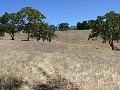 Stunning Vacant Land Approx 20 Acres Picture