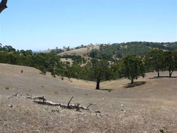 Stunning Vacant Land Approx 20 Acres Picture 2