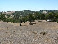 Stunning Vacant Land Approx 20 Acres Picture