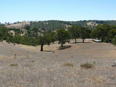 Stunning Vacant Land Approx 20 Acres Picture