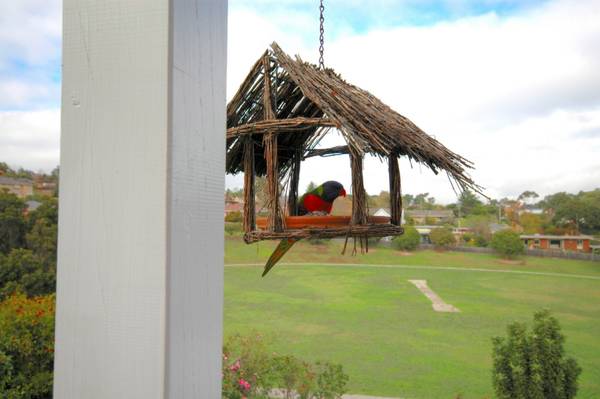 BRILLIANT PRESENTATION & LOCATION BETWEEN EASTERN GOLF COURSE AND WESTFIELD DONCASTER Picture 2