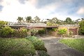 663m2 21m FRONTAGE - IMMACULATE FAMILY HOME 300m FROM WESTFIELD DONCASTER Picture