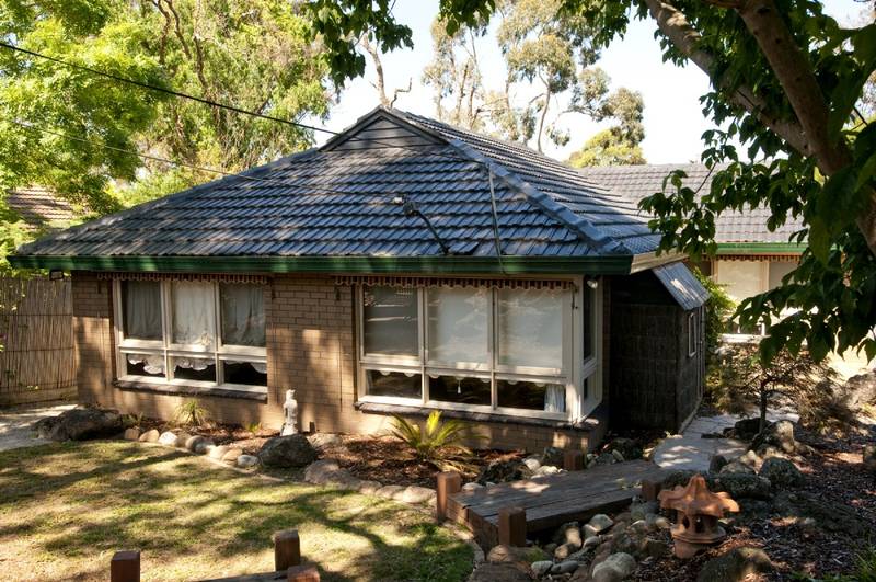 THIS IS VERY DIFFERENT! Picture 3