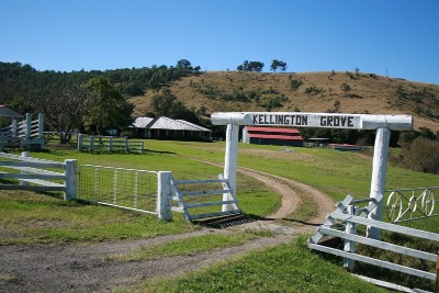 Hard Work's Ultimate Return Picture