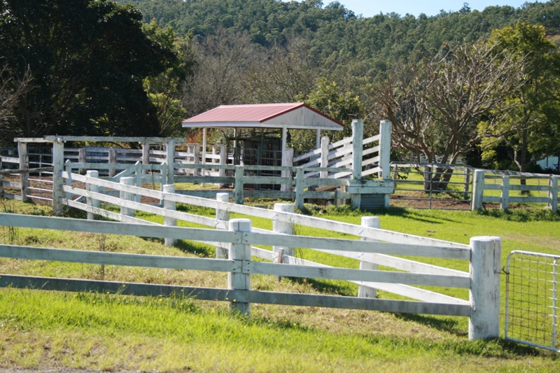 Hard Work's Ultimate Return Picture 3